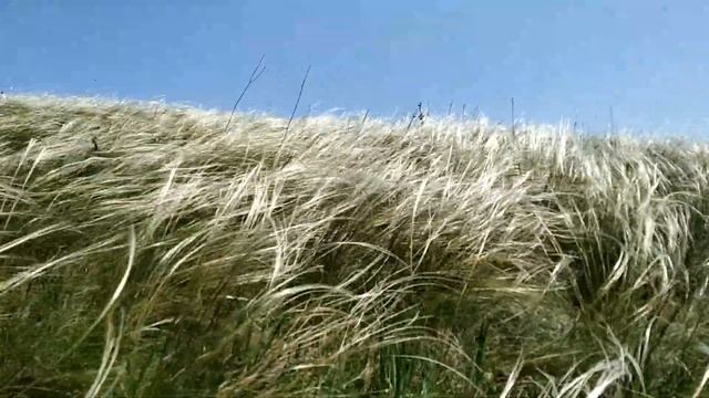Село Приднепровское - Путешествуем по Украине! смотреть онлайн