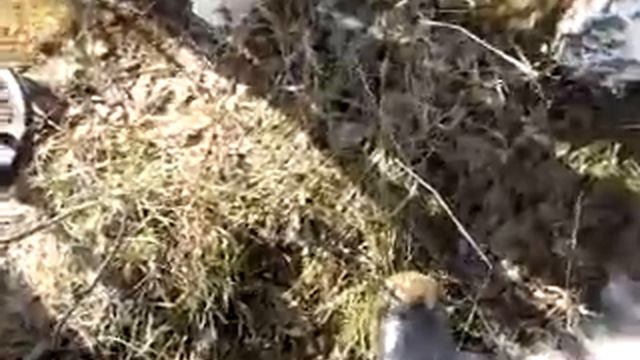 Проба копа в полях смотреть онлайн