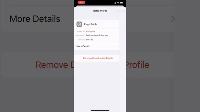 How To Install Esign On IPhone 📲 2024