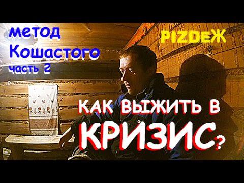 Как ВЫЖИТЬ в КРИЗИС. Метод Кошастого, часть 2. смотреть онлайн