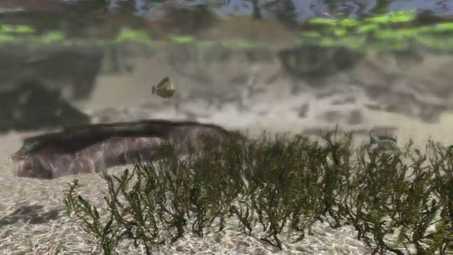 video of fish in Leadwerks Game Engine смотреть онлайн