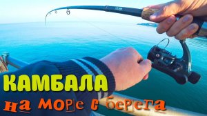 Морская рыбалка на камбалу с берега. Наживка для ловли камбалы. Балтийское море.