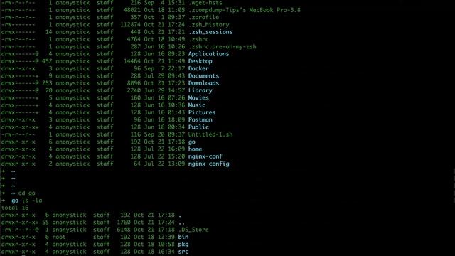 Golang installation vs run code | Series Golang | Phần 2 смотреть онлайн
