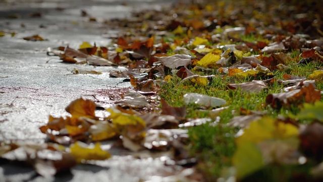4K: Panasonic GX80 / GX85 4K sample. Short clip shoot in Southwark Park(London) 2016/11/18 смотреть онлайн