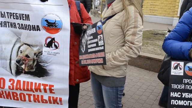 В Нижнем Новгороде прошел пикет за защиту животных смотреть онлайн