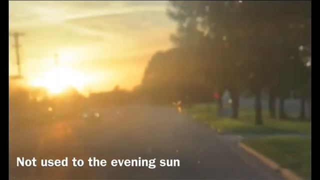 Part 1 | HHG Load | Household Goods Trucking | Padwrap | ATS смотреть онлайн