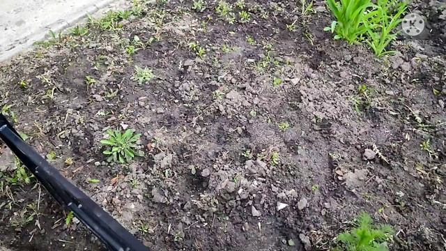 ВЛОГ: 526 МАКС ПОЛУЧИЛ ПАСПОРТ/ НОВЫЙ СПОСОБ/ смотреть онлайн