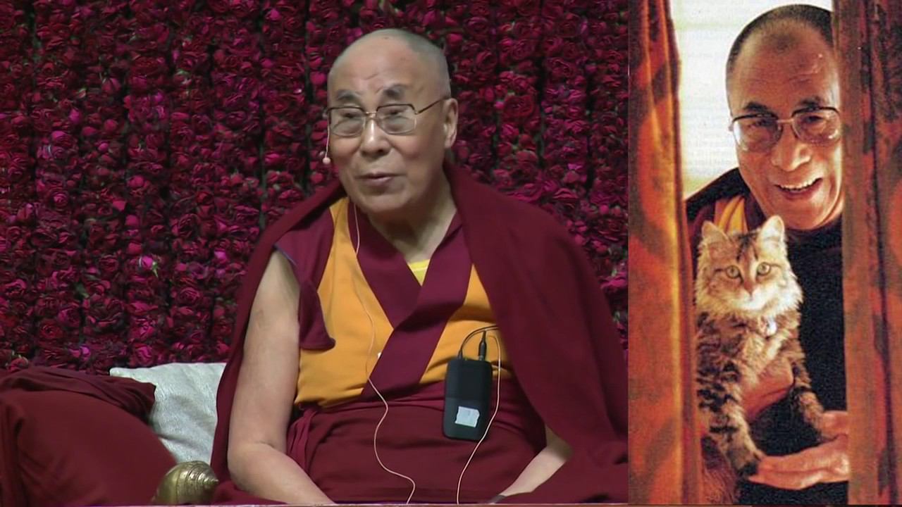 Далай-лама о любимой кошке смотреть онлайн