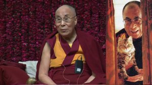 Далай-лама о любимой кошке