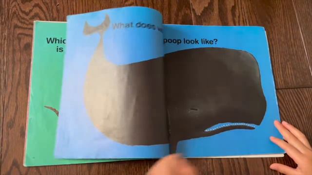 Reading, "Everyone Poops", by Taro Gomi смотреть онлайн