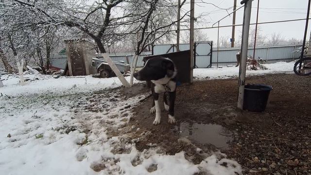 VILLAGE LIFE | WINTER VILLAGE смотреть онлайн