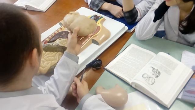 Нож в печень - никто не вечен смотреть онлайн