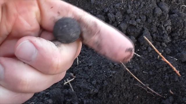 Что можно найти за час с Деусом смотреть онлайн