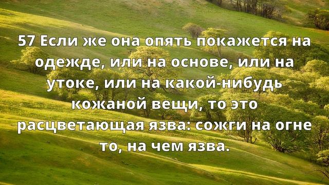 Тихое время с Живой Жизнью: Левит 13:47–59 (04092019) смотреть онлайн