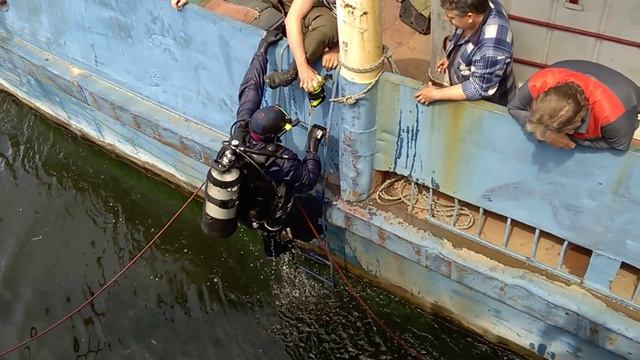 Водолаз. смотреть онлайн