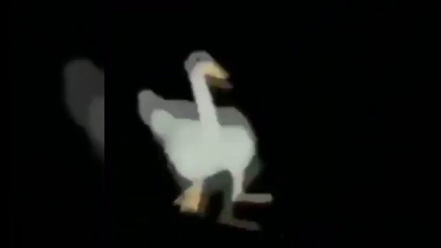 duck/goose dancing to low quality candyland смотреть онлайн