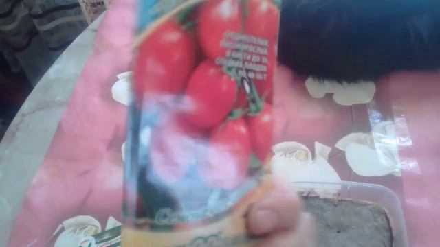 Посадка семян Помидор КЛУША и ЧИО - ЧИО- САН часть 1 08 02 2019г смотреть онлайн