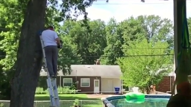 Дерево отомстило за свою конечность смотреть онлайн