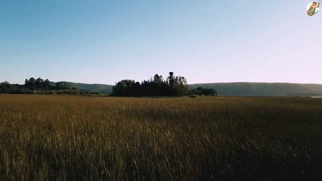 Ловля карася в апреле на фидер, поплавочную удочку. смотреть онлайн