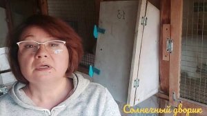 Чем  кормить кроликов для быстрого роста. Мой опыт кормления промышленным комбикормом и домашним.