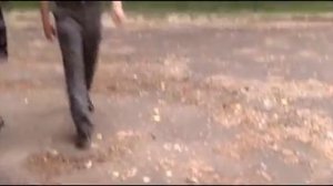 Выйти замуж за генерала Серия 1 из 4