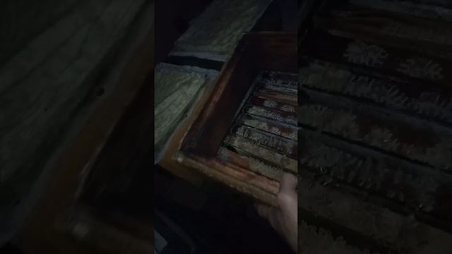 Зимовка пчёл в альпийских ульях на Урале или улей удав.мфу улья.рут.лежак,заносим в зимовник смотреть онлайн