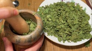 НЕ выбрасывайте ЛИСТЬЯ  ХРЕНА/ ПОРОШОК из ЛИСТЬЕВ ХРЕНА. Чудо средство. Замена всем ТАБЛЕТКАМ.