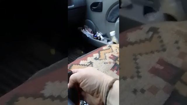 Устраняем скрип сцепления Рено логан за 30 секунд...?