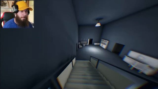 Schizophrenic Plays Schizophrenia Simulation Game смотреть онлайн