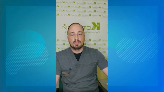 Центезы у кошек и собак смотреть онлайн