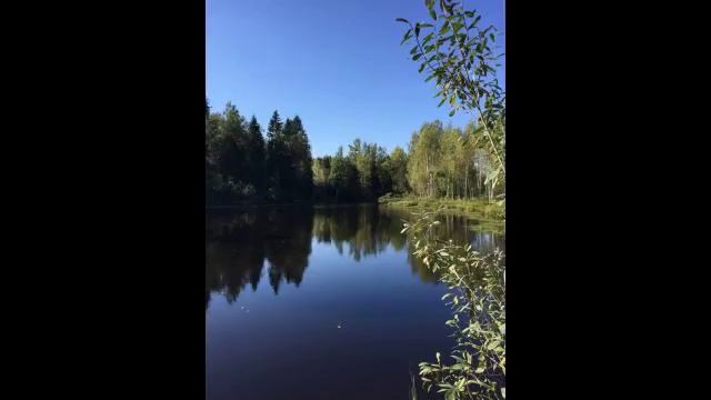 Продается дом в д.Аревское по Рогачевскому шоссе смотреть онлайн