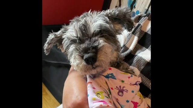 Burning-Up Questions: Vol 2 смотреть онлайн