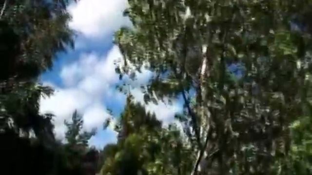 С.В. Рахманинов, на сл. Г. Галиной "Здесь хорошо", поет А. Виноградов смотреть онлайн