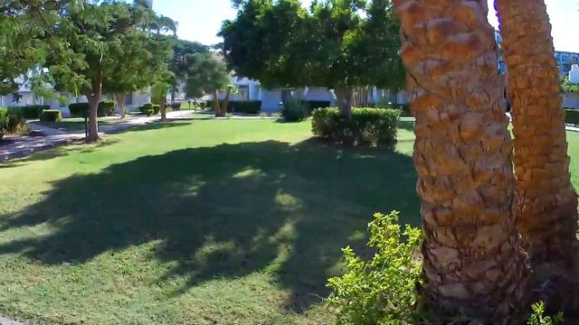 Shams Safaga Resort p4 Territory. Video and description. Отель Shams Safaga.Территория. смотреть онлайн