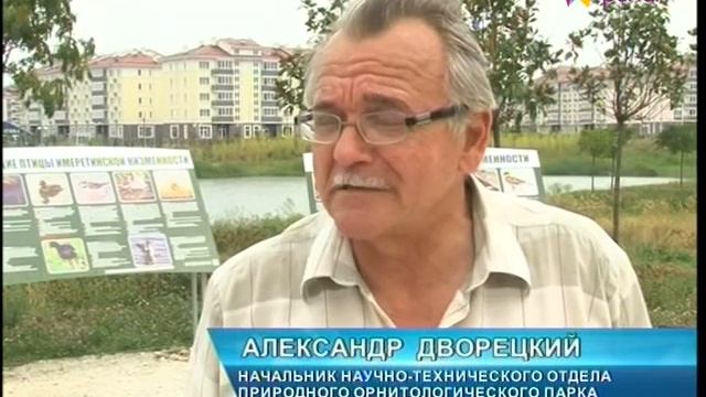 Учёные бьют тревогу - Сочи превращается в Крым