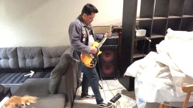 1980 Rivera Designed Fender 75 смотреть онлайн