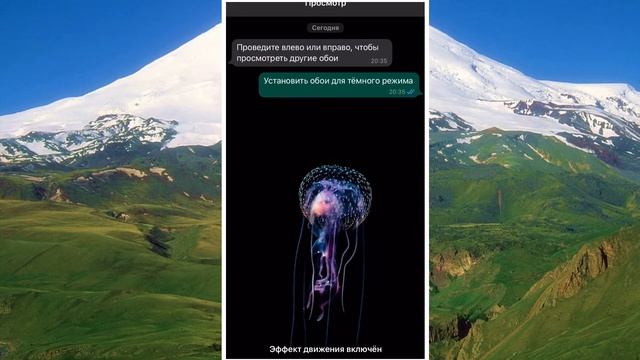 Как поменять обои в Ватсапе в чате смотреть онлайн