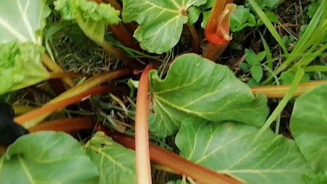 Здоровый Сон и Релаксация