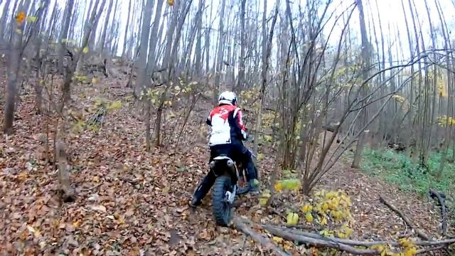 Эндуро покатушки по осеннему лесу (лайт) #1 смотреть онлайн