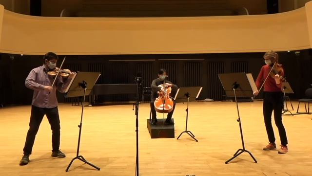 Zoltán Kodály Intermezzo for string trio ( ca.1905) #zoltankodaly#intermezzoforstringtrio смотреть онлайн