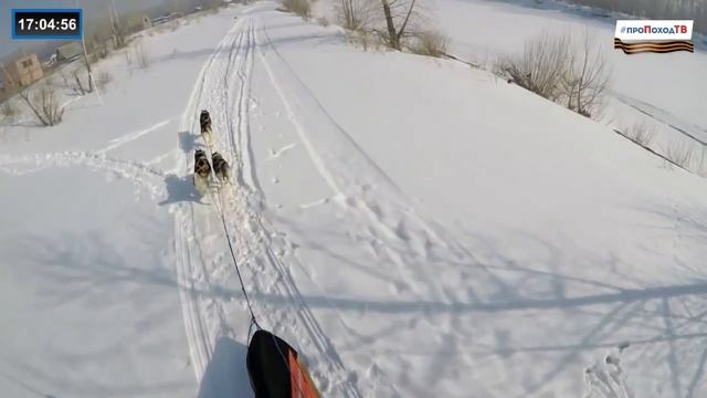 Ездовые виды спорта (часть 2) смотреть онлайн