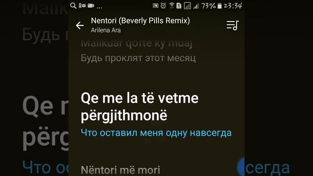 Arilena Ara – Nëntori (Bass karaoke) смотреть онлайн
