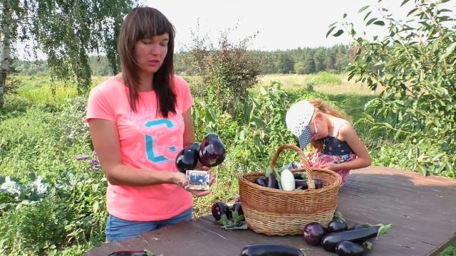 Лучшие сорта баклажан. Природное земледелие. (укр) смотреть онлайн