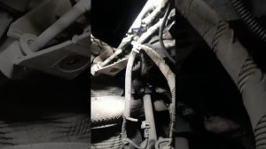 Ситроен С4  замена и ремонт стартера