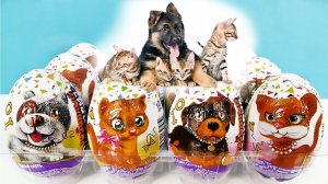 ЗАБАВНЫЙ СЮРПРИЗ ЩЕНКИ И КОТЯТА! Шоколадные яйца ИГРУШКИ Сладкая сказка Kinder Surprise unboxing