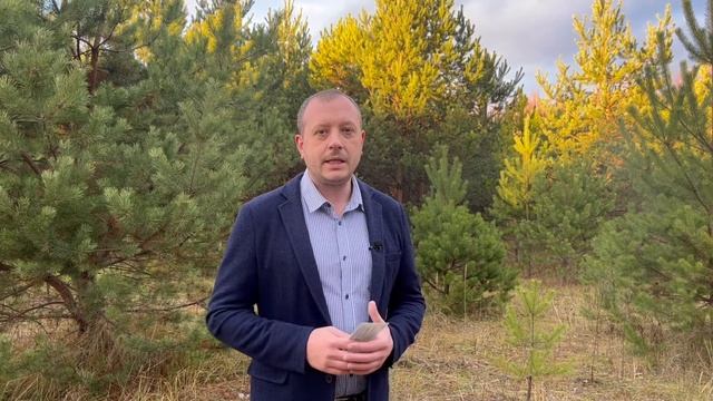 Секреты Профессионального Творца