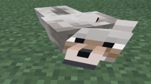 районный прокурор