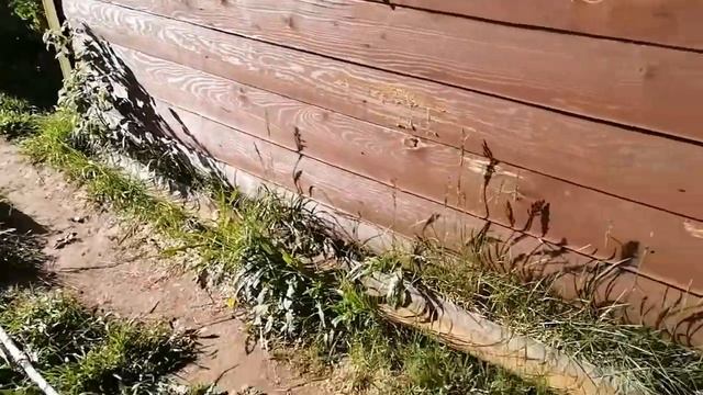 Тестирую средство от сорняков "Чистогряд" смотреть онлайн