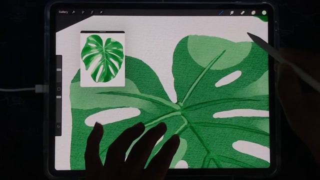 วาดใบ Monstera ด้วย Brush DC Water Color смотреть онлайн
