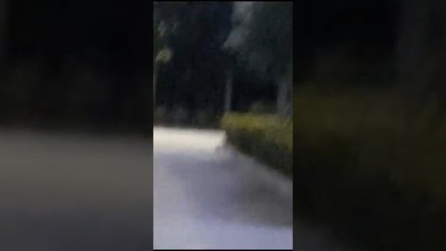 4 сентября 2023 г.Вечерний обзор парка около Мечети имени Пророка Мухаммада г Шали. смотреть онлайн